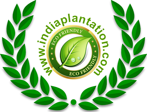 india plantation new logo