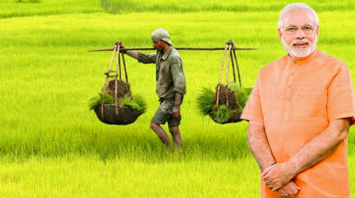 Narendra Modi Agriculture