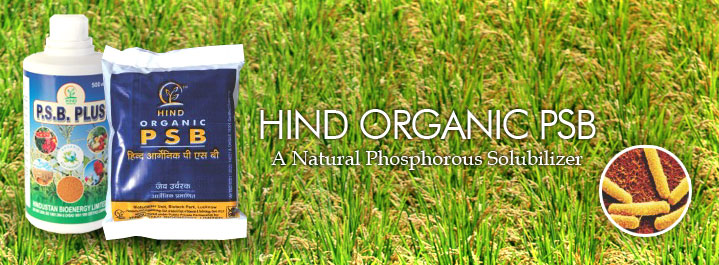Hind Organic PSB