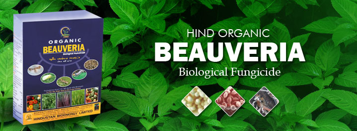 Hind Organic Beauveria