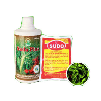 Hind Organic Sudo